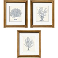 Framed 'Antique Coral Collection 3 Piece Framed Art Print Set' border=