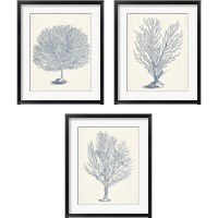 Framed 'Antique Coral Collection 3 Piece Framed Art Print Set' border=