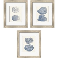 Framed 'Antique Coral Collection 3 Piece Framed Art Print Set' border=