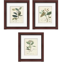 Framed 'Vintage Verdure 3 Piece Framed Art Print Set' border=