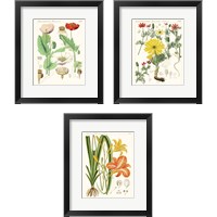Framed 'Bright Botanicals 3 Piece Framed Art Print Set' border=