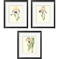 Framed 'Purple Irises 3 Piece Framed Art Print Set' border=