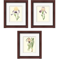 Framed 'Purple Irises 3 Piece Framed Art Print Set' border=