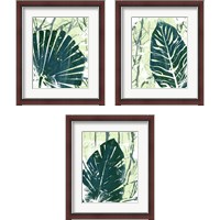 Framed 'Palm Pastiche 3 Piece Framed Art Print Set' border=