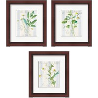 Framed 'Floursack Herbs 3 Piece Framed Art Print Set' border=