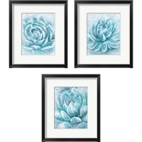 Framed 'Aqua Succulen 3 Piece Framed Art Print Set' border=