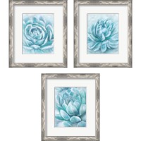 Framed 'Aqua Succulen 3 Piece Framed Art Print Set' border=