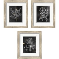 Framed 'Indigo Blooms Black 3 Piece Framed Art Print Set' border=