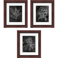 Framed 'Indigo Blooms Black 3 Piece Framed Art Print Set' border=