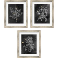 Framed 'Indigo Blooms Black 3 Piece Framed Art Print Set' border=