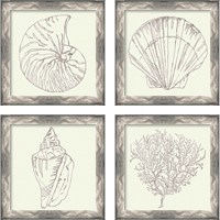 Framed 'Coastal Breeze Sketches Silver 4 Piece Framed Art Print Set' border=