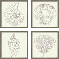 Framed 'Coastal Breeze Sketches Silver 4 Piece Framed Art Print Set' border=