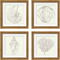 Framed 'Coastal Breeze Sketches Silver 4 Piece Framed Art Print Set' border=