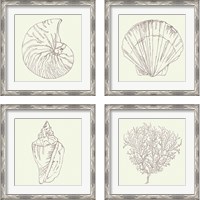 Framed 'Coastal Breeze Sketches Silver 4 Piece Framed Art Print Set' border=