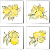 Framed 'Lemon Still Life 4 Piece Canvas Print Set' border=