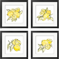 Framed 'Lemon Still Life 4 Piece Framed Art Print Set' border=