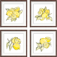 Framed 'Lemon Still Life 4 Piece Framed Art Print Set' border=