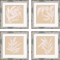 Framed 'Leaf Study 4 Piece Framed Art Print Set' border=