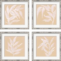 Framed 'Leaf Study 4 Piece Framed Art Print Set' border=