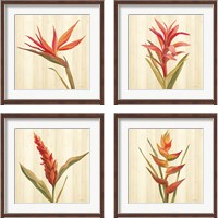 Framed 'Tropical Garden 4 Piece Framed Art Print Set' border=