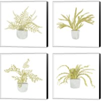 Framed 'Potted Fern 4 Piece Canvas Print Set' border=