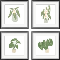 Framed 'Philodendron Billietiae 4 Piece Framed Art Print Set' border=