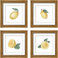 Framed 'Citrus Limon 4 Piece Framed Art Print Set' border=