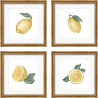 Framed 'Citrus Limon 4 Piece Framed Art Print Set' border=