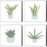 Framed 'Snake Plant 4 Piece Canvas Print Set' border=