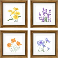 Framed 'Wildflower Group 4 Piece Framed Art Print Set' border=