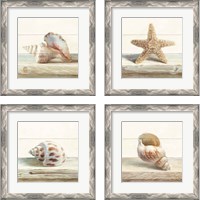 Framed 'Driftwood Shell 4 Piece Framed Art Print Set' border=