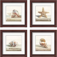 Framed 'Driftwood Shell 4 Piece Framed Art Print Set' border=