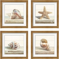 Framed 'Driftwood Shell 4 Piece Framed Art Print Set' border=