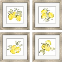 Framed 'Lemons 4 Piece Framed Art Print Set' border=