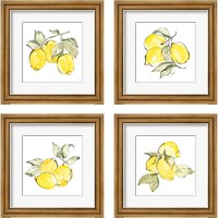 Framed 'Lemons 4 Piece Framed Art Print Set' border=