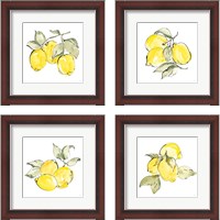 Framed 'Lemons 4 Piece Framed Art Print Set' border=