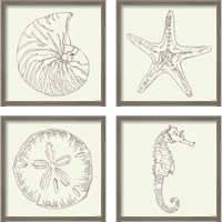 Framed 'Coastal Breeze Sketches Silver 4 Piece Framed Art Print Set' border=