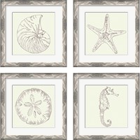 Framed 'Coastal Breeze Sketches Silver 4 Piece Framed Art Print Set' border=