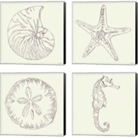 Framed 'Coastal Breeze Sketches Silver 4 Piece Canvas Print Set' border=