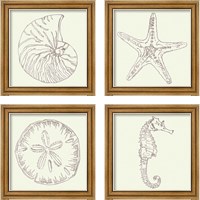 Framed 'Coastal Breeze Sketches Silver 4 Piece Framed Art Print Set' border=