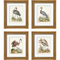 Framed 'Antique Heron & Cranes 4 Piece Framed Art Print Set' border=