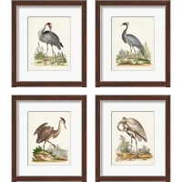 Framed 'Antique Heron & Cranes 4 Piece Framed Art Print Set' border=