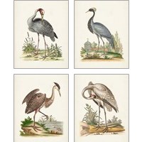 Framed 'Antique Heron & Cranes 4 Piece Art Print Set' border=