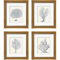 Framed 'Antique Coral Collection 4 Piece Framed Art Print Set' border=