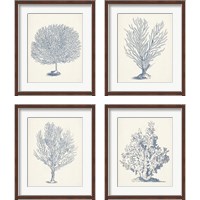 Framed 'Antique Coral Collection 4 Piece Framed Art Print Set' border=