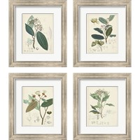 Framed 'Vintage Verdure 4 Piece Framed Art Print Set' border=