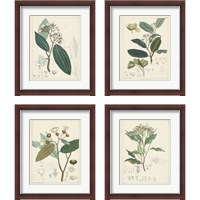 Framed 'Vintage Verdure 4 Piece Framed Art Print Set' border=