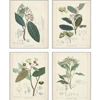 Framed 'Vintage Verdure 4 Piece Art Print Set' border=