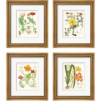 Framed 'Bright Botanicals 4 Piece Framed Art Print Set' border=