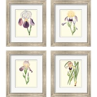 Framed 'Purple Irises 4 Piece Framed Art Print Set' border=